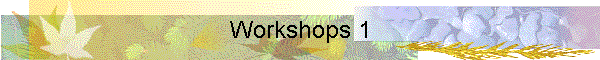 Workshops 1