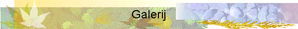 Galerij